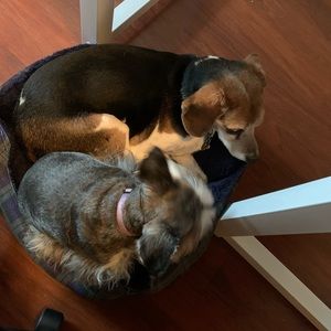 Meet your Posher, Leigh ann